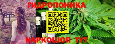 бошки Краснознаменск