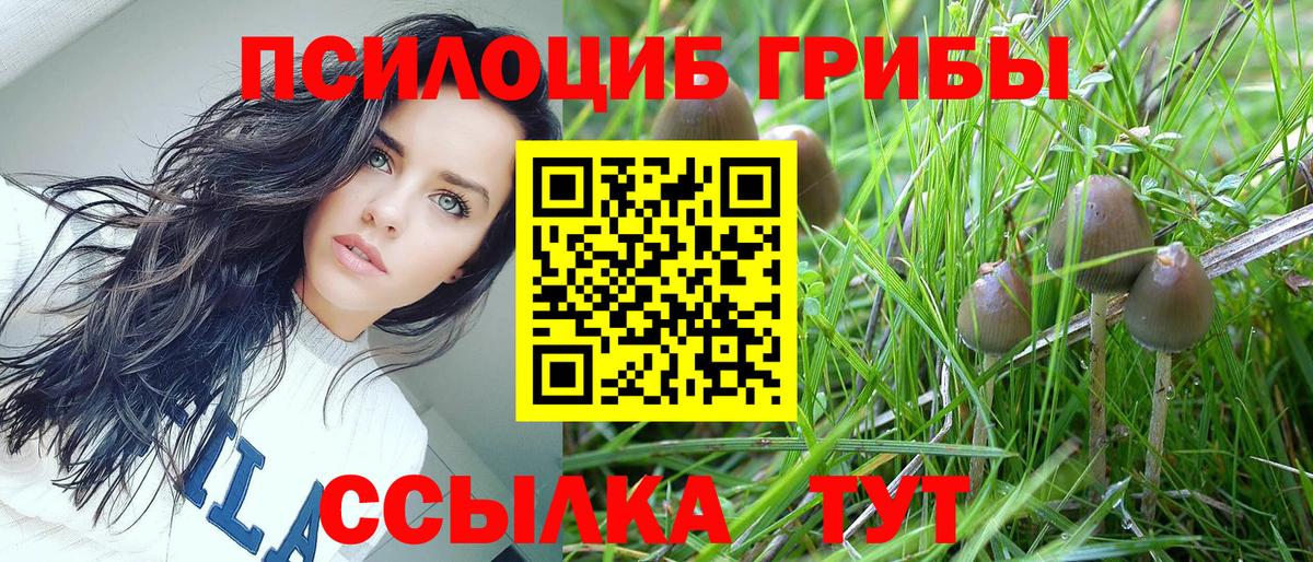 Псилоцибиновые грибы Psilocybe  Вход с VPN  Псилоцибиновые грибы мухоморы  Камышлов 